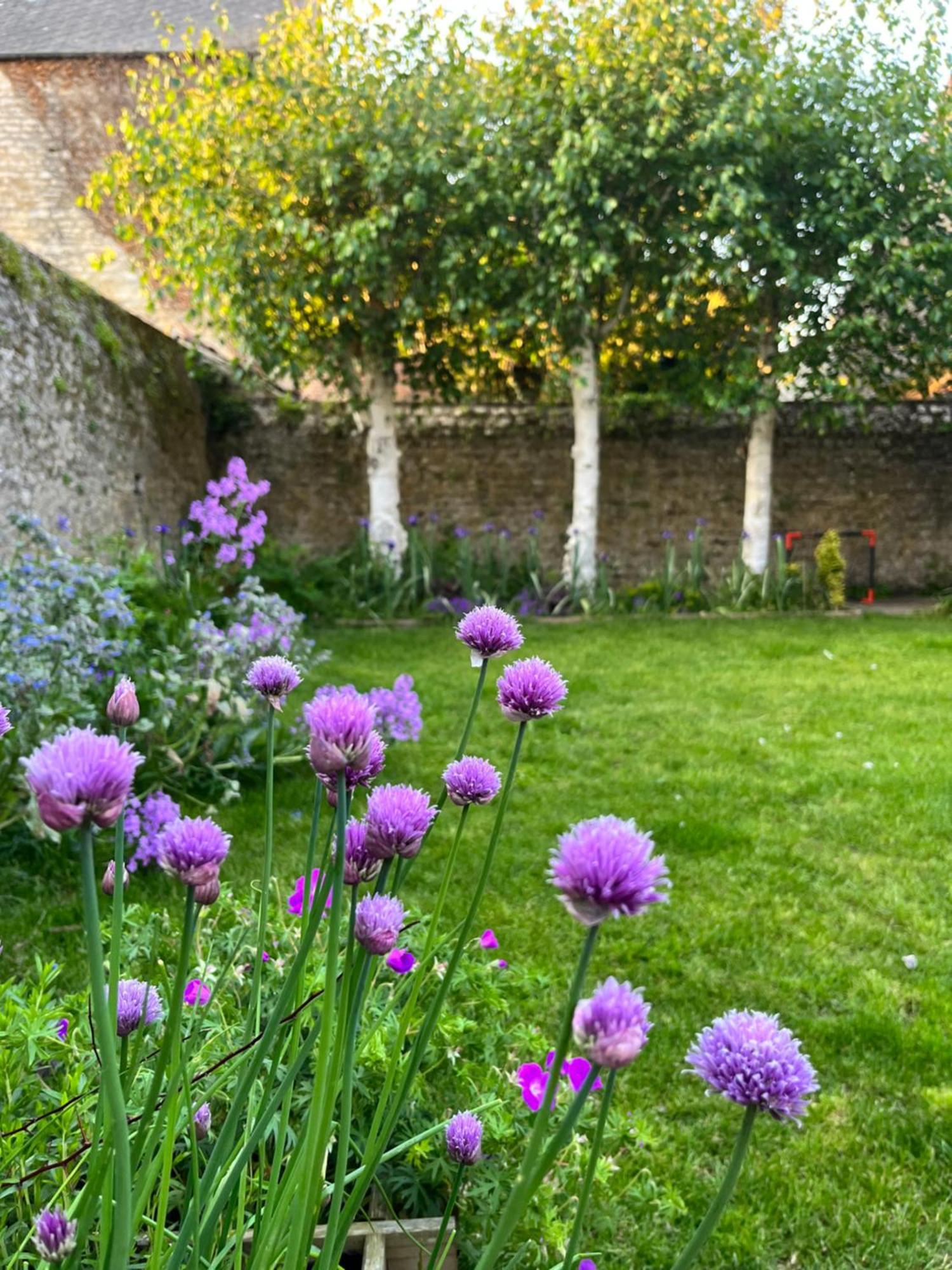 Casa vacanze Maison Chaleureuse Avec Jardin - Pause Normande *
