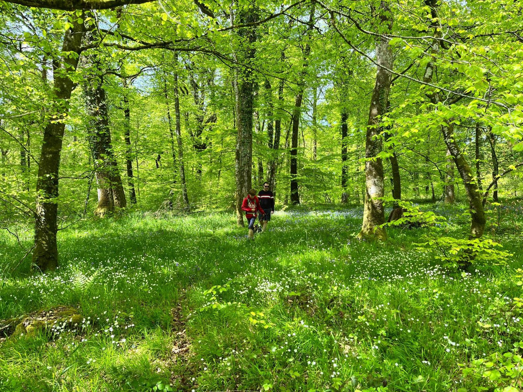 Maison Chaleureuse Avec Jardin - Pause Normande